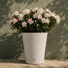 Plant Pot Column Grafiato PP - 淺灰色 - 查看 1