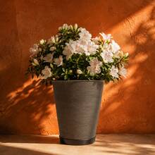 Plant Pot Column Grafiato PP - 黑色 - 查看 1