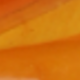 Multiwarna 5