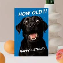 1張趣味生日卡，適合關係親密且能接受開玩笑的同儕，用幽默感填滿祝福，以逗趣表情調侃對方的年齡 - 查看 6