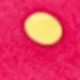 Red With Yellow Dots
