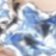 Silver Blue Star