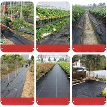 1 Peça Tecido de Barreira Respirável, Tecido de Barreira Resistente, Tapete de Controle de Paisagem de Jardim, Durável para Jardim, Pátio e Canteiros de Flores - 1 peça preta - Visão 4
