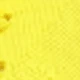 Rs1863 Yellow