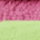 Pink + Green