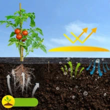 1 Peça Tecido de Barreira Respirável, Tecido de Barreira Resistente, Tapete de Controle de Paisagem de Jardim, Durável para Jardim, Pátio e Canteiros de Flores - 1 peça preta - Visão 9