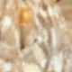 CC