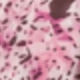 Multi-color Leopard Print