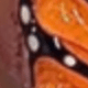 彩色