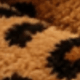 Calabaza de leopardo