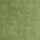 Bean Green