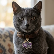 Pet Collar Accessories - Purple - View 5