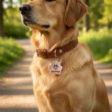 Pet Collar Accessories - Pink - View 3
