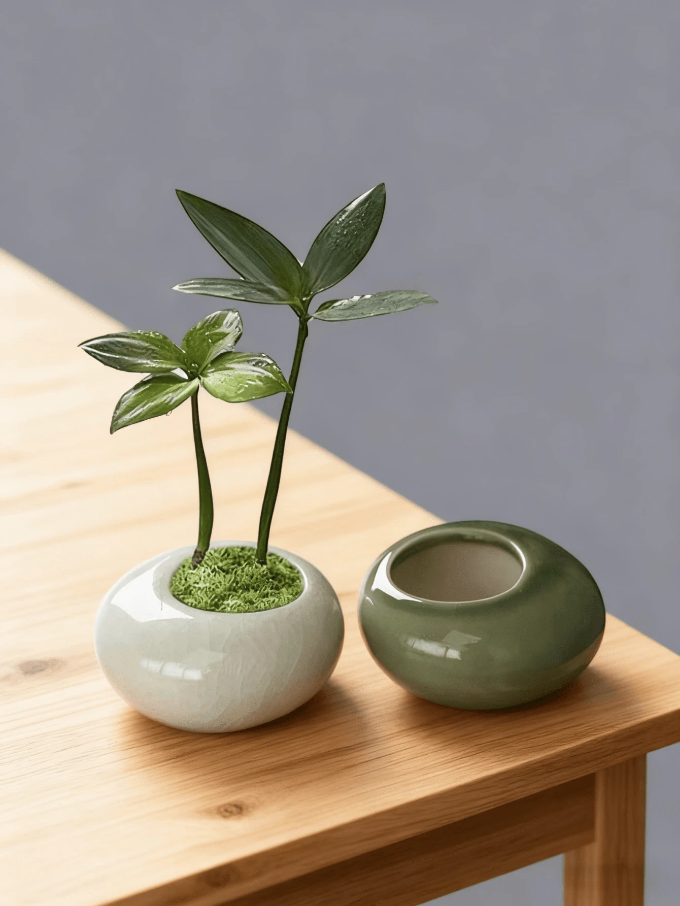 Haus Hana 迷你冰裂釉陶瓷花盆 - 彩色 - 查看 1