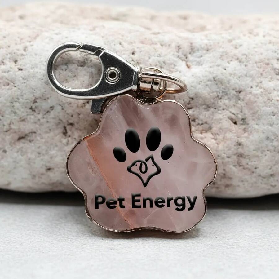 Pet Collar Accessories