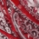 Red Cashew