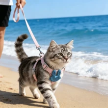 1 Trasportino per animali domestici con manico superiore, porta a scatto per impedire la fuga degli animali, design con ventilazione cava, adatto per viaggi all'aperto e uso in veicolo - Multicolore - Visualizzare 7