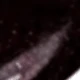 Noite Estreia