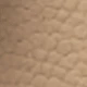 Unta