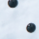 Polka Dot Stud Earrings
