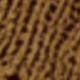 MZ3575