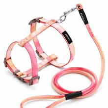 Cat Harness And Leash Set, Adjustable Gradient Vest Harness With Leash For Cats And Small Dogs, Comfortable Lightweight Walking Harness For Outdoor Walking - Multicolor - View 5