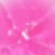 Pink Plumeria