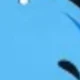 Elephant [Blue]