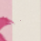 Black + Pink + Antique White