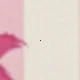 Black + Pink + Antique White