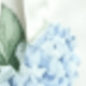 Blue Pattern