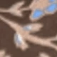 Coffee Brown