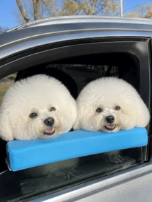 Pet Car Window Chin Rest Cushion, Dog Travel Window Sill Pillow, Soft Foam Headrest Armrest Pad, Anti-Scratch Door Edge Protector, Suitable For Small, Medium, Large Dogs, Comfortable Car Ride Accessory - one-size - View 6