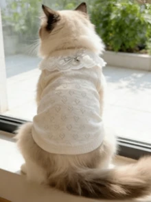 1pc Autumn Pet Vest Dog Teddy Hollow Out Cat Pet Clothes Summer Breathable Thin Style, Elegant Lace Ruffle Collar With Bow Decor, Soft Breathable Sleeveless Dog Vest, Daily Cute Puppy Kitten Outfit, Suitable For Small And Medium Pets Summer Wear - Light Grey - View 5