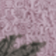 Pink/Gray