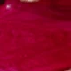 Rosa Fucsia