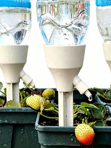 A Durable, Automatic Watering Device Designed Specifically For Potted Plants. Suitable For Both Indoor And Garden Plants, It Requires No Batteries And Is An Essential Tool For Caring For Flowers And Vegetables. Compatible With Most Bottles. - One Size Fits All - View 5