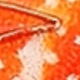彩色