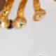Flower Earrings