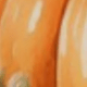 Coral Orange