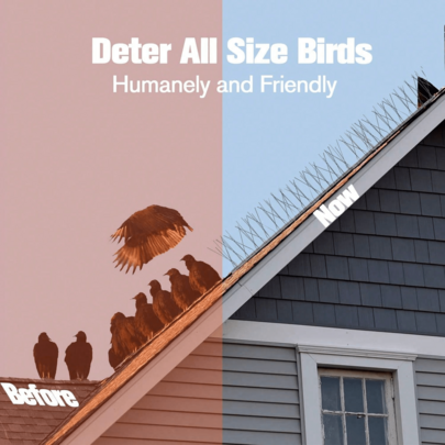 24/18/12/10/6/3/1pc Stainless Steel Bird Spikes, Flexible Bendable Base Anti-Roosting Pigeon Deterrent Strip, Humane Metal Anti-Bird Nails For Pigeons & Small Birds, Roof, Window Sill, Balcony, Fence, Gutter, Chimney, Sign, Porch & Outdoor Ledge