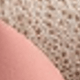 Coral Pink