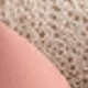 Coral Pink