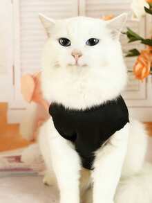 1件宠物猫背心，轻薄透气，适合夏季穿着，适用于布偶猫、比熊犬、贵宾犬、小型犬等，四季皆宜。 - 黑色 - 查看 5