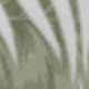 CL11