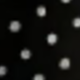 Black Polka Dot