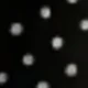 Black Polka Dot