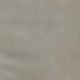 米色