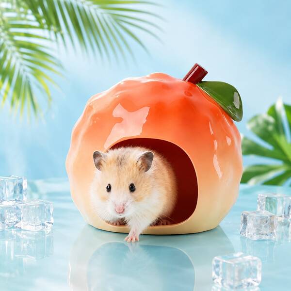 Ceramic Hamster Hideout, All-Season Hamster House And Habitat Cooling Bed, Suitable For Hamsters, Gerbils, Mice, Golden Hamsters