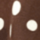 棕色